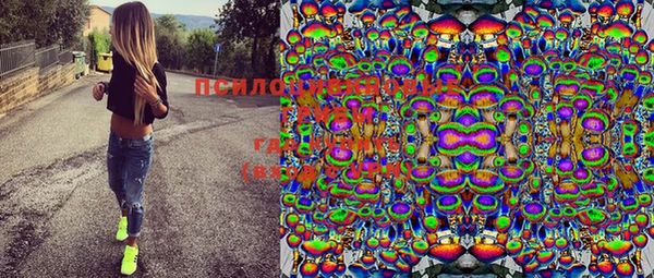 мяу мяу мука Абаза