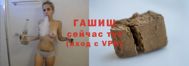 мяу мяу мука Абаза