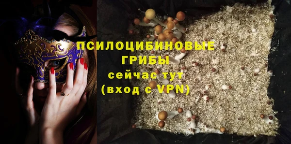 PSILOCYBIN Осташков