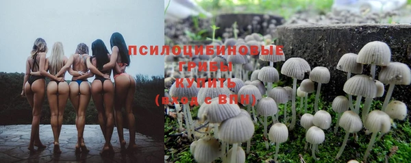 mix Абинск